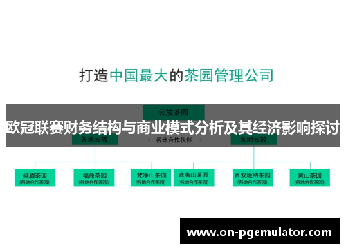 欧冠联赛财务结构与商业模式分析及其经济影响探讨