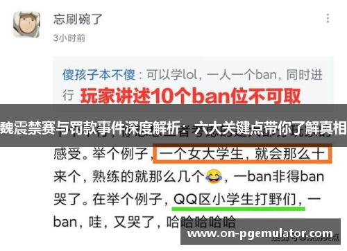 魏震禁赛与罚款事件深度解析：六大关键点带你了解真相