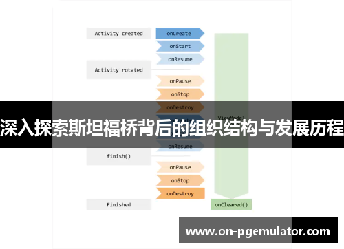 深入探索斯坦福桥背后的组织结构与发展历程