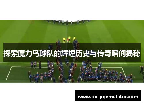 探索魔力鸟球队的辉煌历史与传奇瞬间揭秘