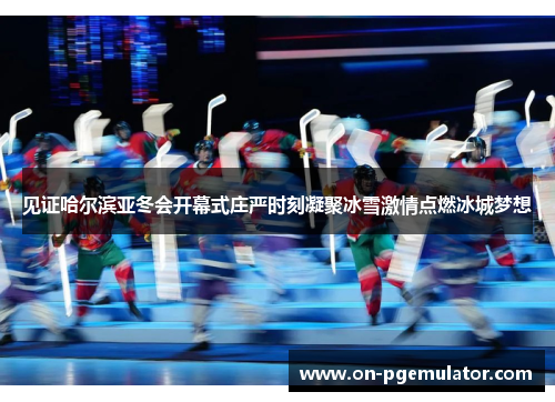 见证哈尔滨亚冬会开幕式庄严时刻凝聚冰雪激情点燃冰城梦想